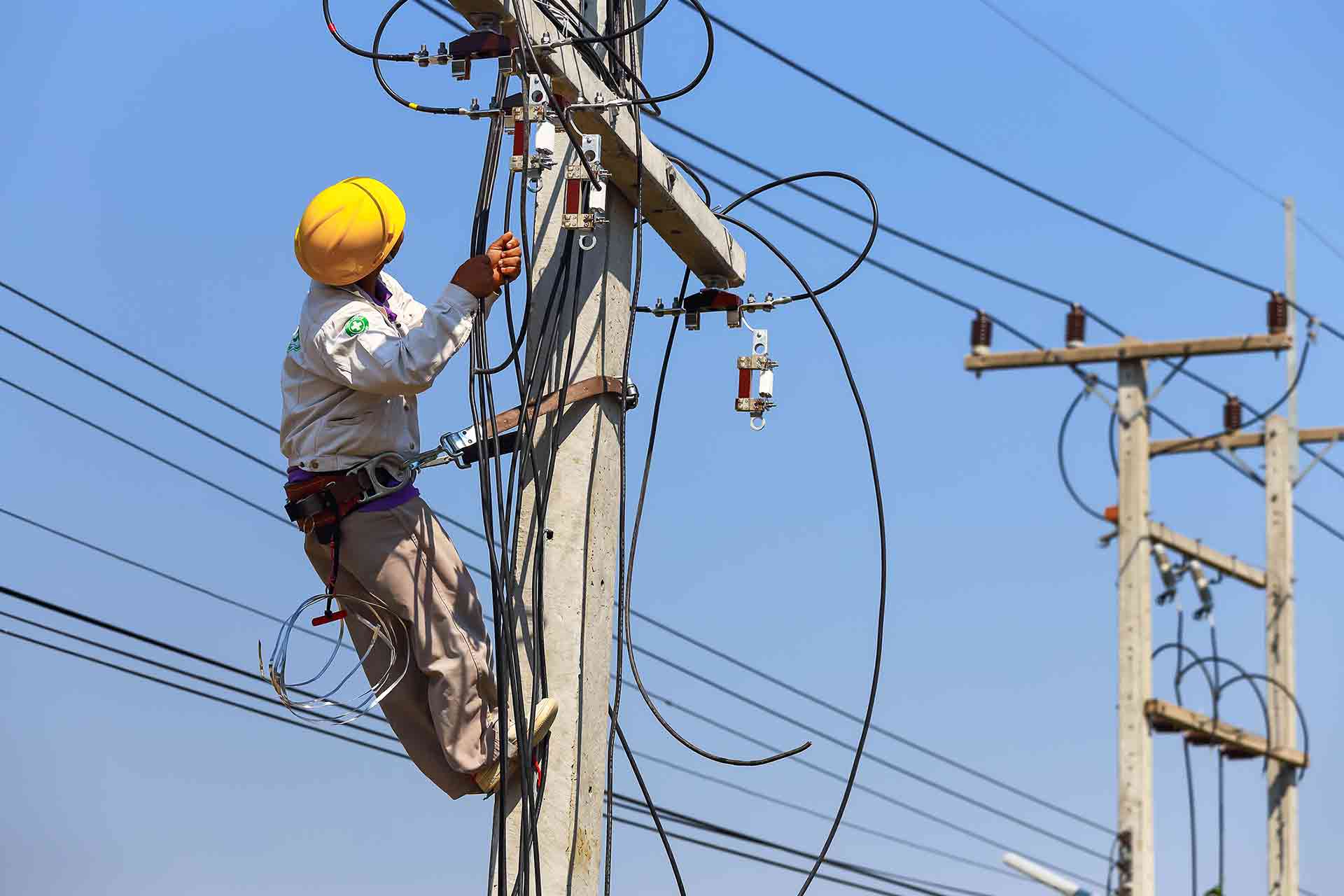 Key Players in the World Electric Supply Market